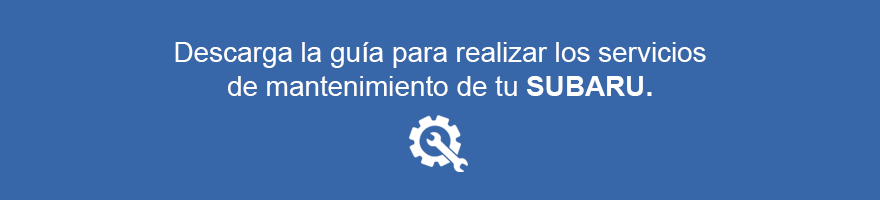 Descarga la guía para realizar los servicios de mantenimiento