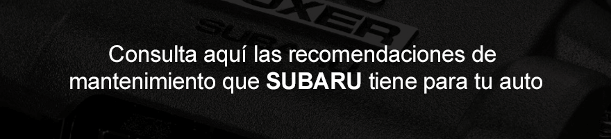 Consulta aquí las recomendaciones de mantenimiento